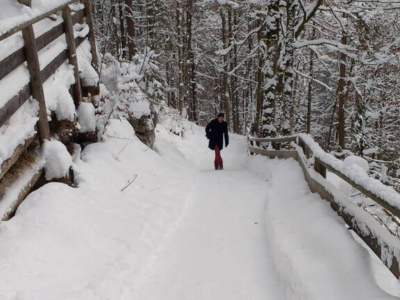 IMG 20170115 140209539